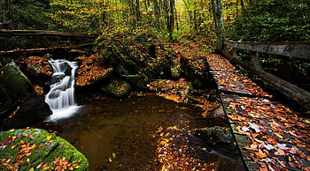 North Carolina, Nantahala National Forest, Autumn, River HD wallpaper