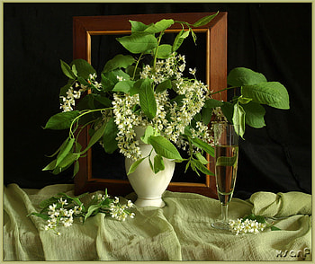 green & white still life, art , still life, green leaves, white vase, vine, glass, white flowers HD wallpaper
