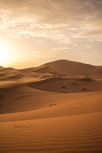 Nature, Sand, Desert, Horizon, Dunes, Links HD phone wallpaper