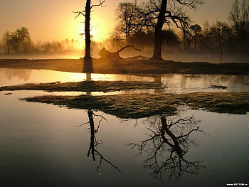 Landscape, Nature, Rivers, Trees, Sunset HD wallpaper