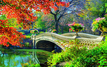 Central Park Bridge in Springtime, colors, new york, trees, bow bridge, water, usa HD wallpaper