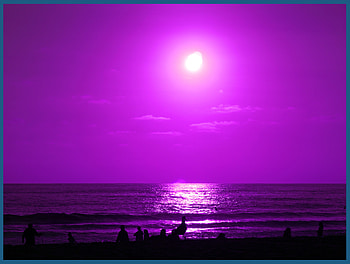 Purple Beach, ea HD wallpaper