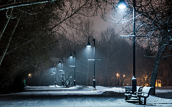 Park At Winter Night HD wallpaper