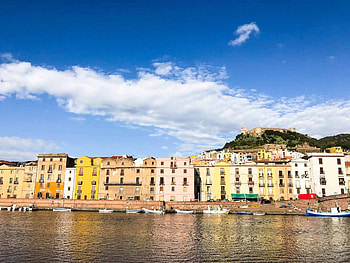 Bosa, Pastel-colored town, Riverside beauty, Palm and vine HD wallpaper