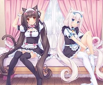 | Background ID:785975. Anime Nekopara HD wallpaper