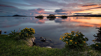 Lake at dawn, clouds, sky, flowers, rocks, sunset HD wallpaper