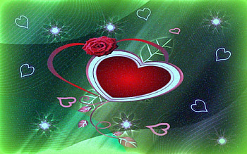 Only a Rose, rose for love, romance and a rose, a rose by any other name HD wallpaper
