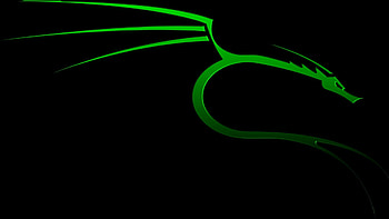 Green dragon on a black background Kali Linux . ... HD wallpaper