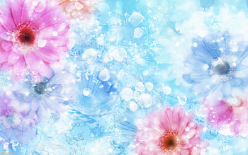 Plants, Flowers, Background HD wallpaper