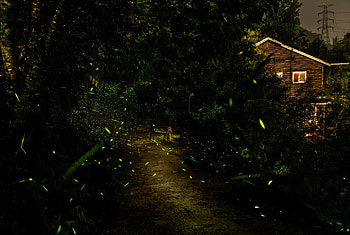 garden, man made HD wallpaper