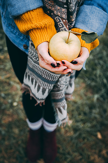 Food, Apple, Autumn, Hands, Harvest HD phone wallpaper