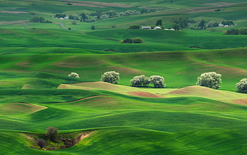 Grassland , Natural wonders, Wide-open spaces, Pristine beauty HD wallpaper