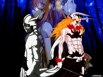 Bleach, ulquiorra, ichigo, orihime, inoue, espada, kurosaki HD wallpaper