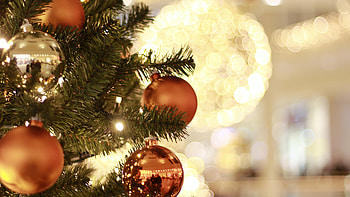 Ultra , Christmas decorations, Festive background, Magical ambiance HD wallpaper