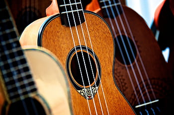Detailed view of classic acoustic guitars and ukuleles showcasing wooden textures and design. HD wallpaper