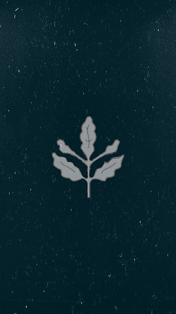 Palamut, fener, sari, symbol, art, lacivert, logo, fenerbahce, siyah, futbol HD phone wallpaper