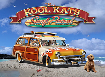 Three Kool Cats on Surf Patrol, dog, cats, cool, funny, surf, beach, patrol HD wallpaper