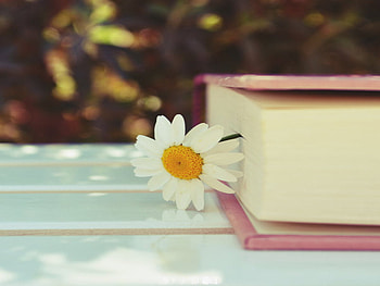 ♡✿Ninika♡✿, nature, flowers, book, love HD wallpaper