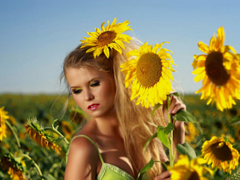 Sunflowers, sexy, girl, model HD wallpaper