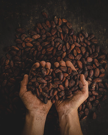 Best cocoa in the world, Unparalleled quality, Divine richness, Chocolate lover's dream HD phone wallpaper