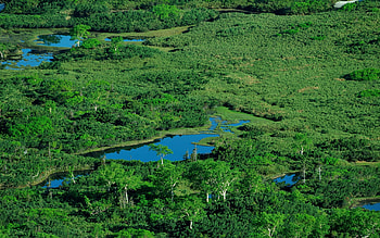 Nature, Rivers, Grass, Summer, View From Above, Ponds HD wallpaper