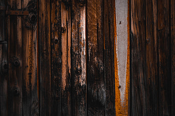 Wood, Wooden, Tree, Texture, Textures, Surface HD wallpaper