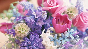 Colorful blossoms, Natural beauty, Vibrant bouquet, Fresh flowers HD wallpaper