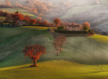 Mountain Field, grass, nature, field, mountain HD wallpaper