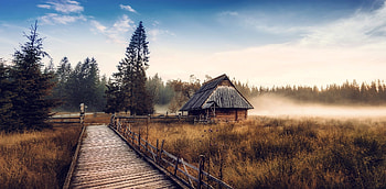 Dry Grass Landscape, nature, grass, landscape HD wallpaper