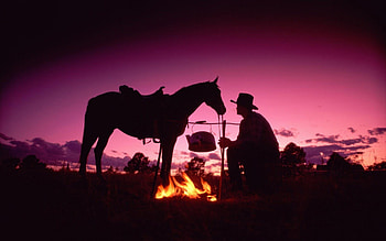 Western Cowboy | , , background HD wallpaper