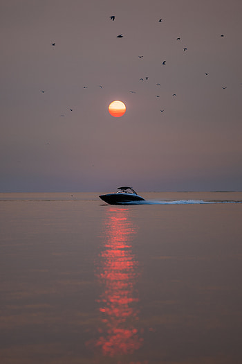 Birds, Sunset, Sun, Glare, Miscellanea, Miscellaneous, Boat HD phone wallpaper