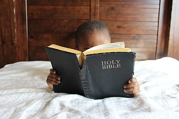 Young child reading a Holy Bible indoors, conveying a serene and religious atmosphere. HD wallpaper