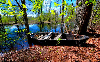 WAITING BOAT at FOREST LAKE, boat, nature, forest, lake HD wallpaper