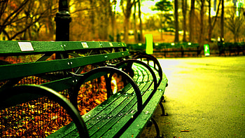 Central Park, , Park bench HD wallpaper