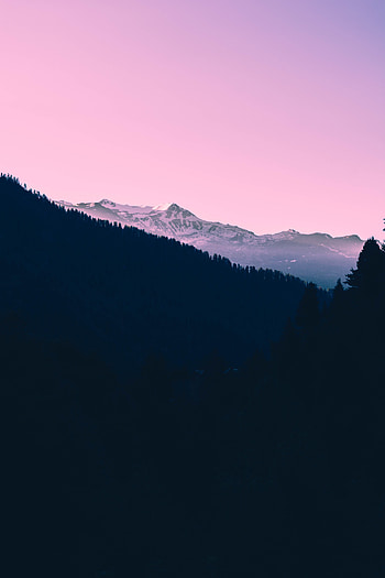 Nature, Trees, Sunset, Sky, Mountains, Pink HD phone wallpaper