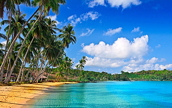 Landscape, Sea, Beach HD wallpaper
