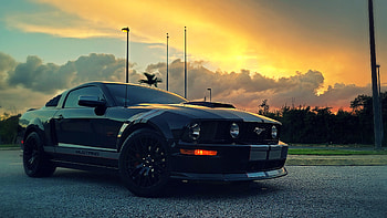 Mustang, cloud, sky HD wallpaper