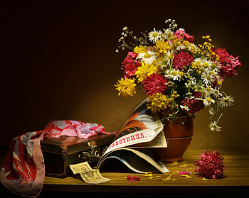 rose for you, rose, life, love, cute, stil HD wallpaper