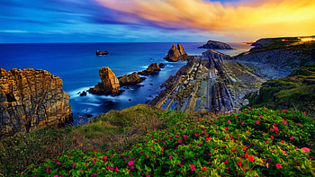 The Bay of Biscay, Costa Quebrada, Spain, coast, sea, blossoms, colors, clouds, flowers, sky, rocks HD wallpaper