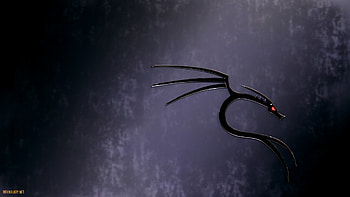 kali linux HD wallpaper
