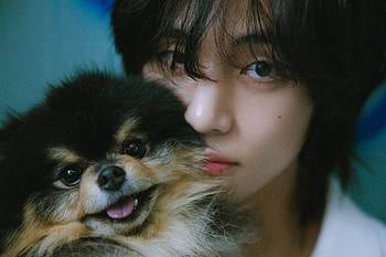 V (뷔) - Loyover, music, BTS HD wallpaper