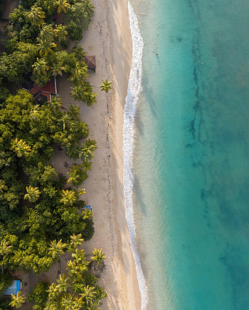 View From Above, Nature, Water, Sea, Beach, Sand, Palms HD phone wallpaper
