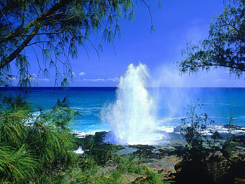 Landscape, Water, Trees, Sea HD wallpaper