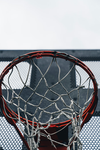 Sports, Basketball, Shield, Grid, Ring, Basketball Hoop, Basketball Ring, Scute HD phone wallpaper