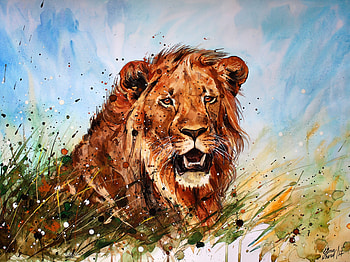 Lion, a beast, art, predator HD wallpaper