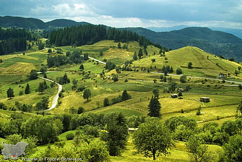 Rhodopy Mountain, graphy, feild, green, bulgaria, trees, mountain HD wallpaper