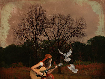 Musician, guitar, trees, gypsy, birds HD wallpaper
