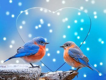 Love, two, birds, snowflakes, animals, heart HD wallpaper