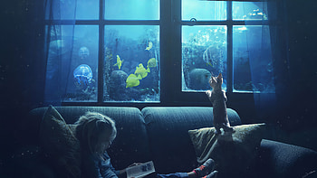 Little Girl Reading Book Cat Manipulation, little-girl, manipulation, artist, artwork, digital-art, deviantart, cat HD wallpaper