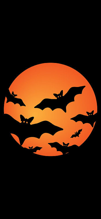 Orange bats festival, Bat graphics, , Vibrant HD phone wallpaper